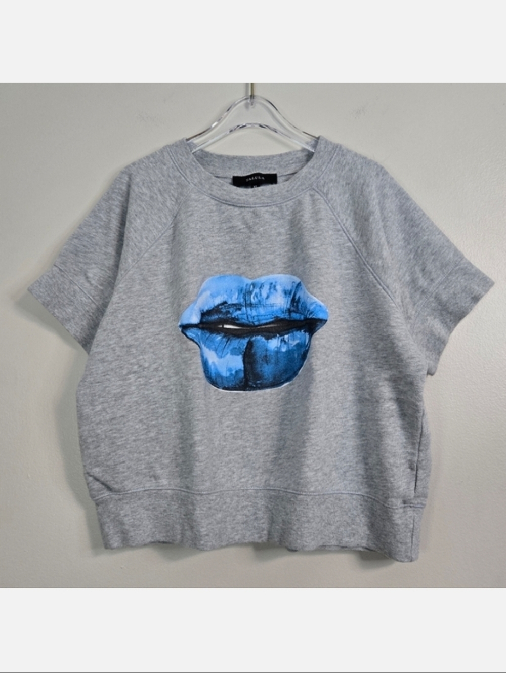 Aritzia Talula Grey Short Sleeve Sweatshirt W/ Blue Lips Graphic, Size XS ~ EUC